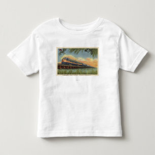 Camiseta Infantil O trem de estrada de ferro do pássaro do zumbido