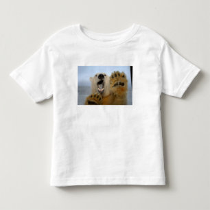 Camiseta Infantil o urso polar, maritimus do Ursus, olha curiosa em