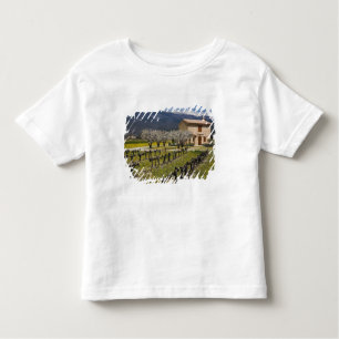 Camiseta Infantil O vinhedo dormente, fruta floresce, a casa de