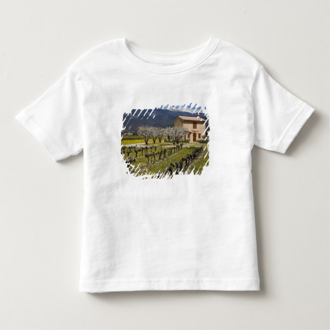 Camiseta Infantil O vinhedo dormente, fruta floresce, a casa de (Frente)