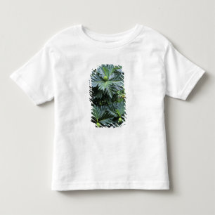 Camiseta Infantil Oceania, Pacífico Sul, Polinésia Francesa,
