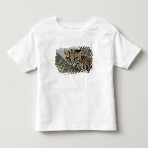 Camiseta Infantil Ocelot, Felis pardalis, cativo, fêmea descansando