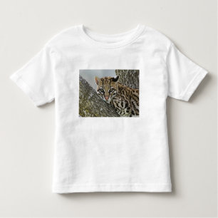 Camiseta Infantil Ocelot, Felis pardalis, em cativeiro, descansos fe