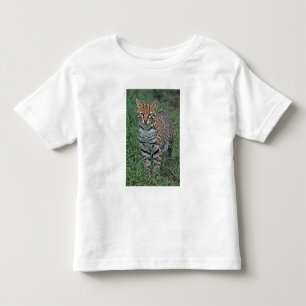 Camiseta Infantil OCELOTE (Leopardus pardalis) AMÉRICA CENTRAL