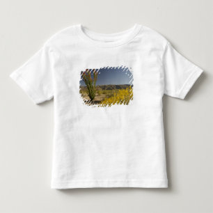 Camiseta Infantil Ocotillo e senna do deserto