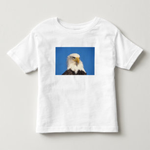Camiseta Infantil Olhar de Águia Americana