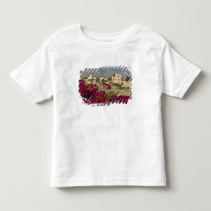 Camiseta Infantil Omã, Montanhas Hajar Ocidentais, Al Hamra. Cidade