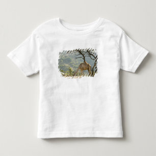 Camiseta Infantil Omã, Região de Dhofar, Salalah. Camelo