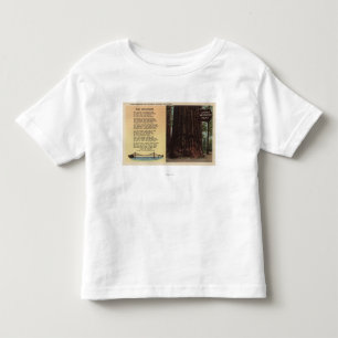 Camiseta Infantil Opinião a sequóia vermelha das pistas lisa