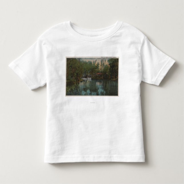 Camiseta Infantil Opinião da água do rio de Tomoka & do pântano, (Frente)