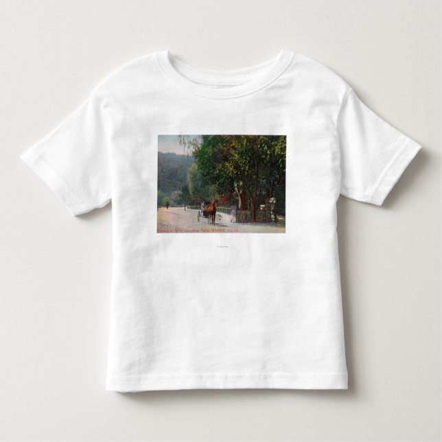Camiseta Infantil Opinião da entrada à pista obscuro, carruagem do (Frente)
