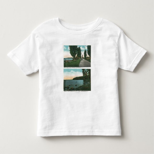 Camiseta Infantil Opinião da movimentação de Champlain do lago (Frente)