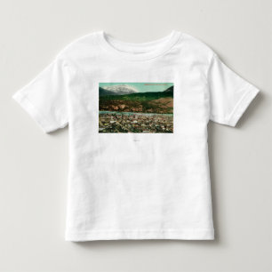 Camiseta Infantil Opinião de Birdseye de Skagway, AlaskaSkagway, AK