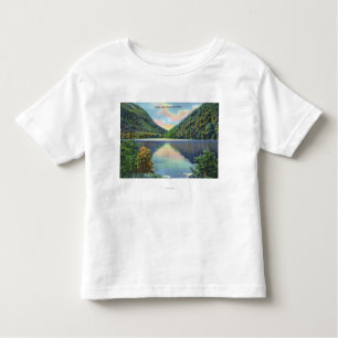 Camiseta Infantil Opinião do entalhe de Franconia do lago profile