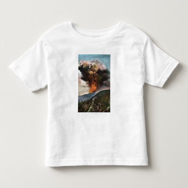 Camiseta Infantil Opinião do incêndio florestal nas montanhas (Frente)