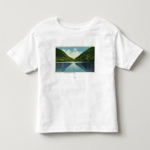 Camiseta Infantil Opinião do parque estadual do entalhe de Franconi