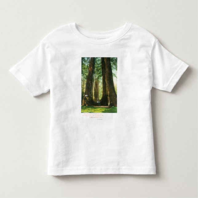 Camiseta Infantil Opinião gêmeos da sequóia vermelha no bosque (Frente)
