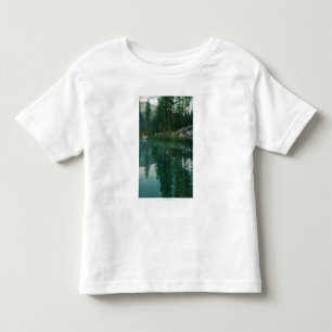 Camiseta Infantil Opinião Stella LakeWawona, CA