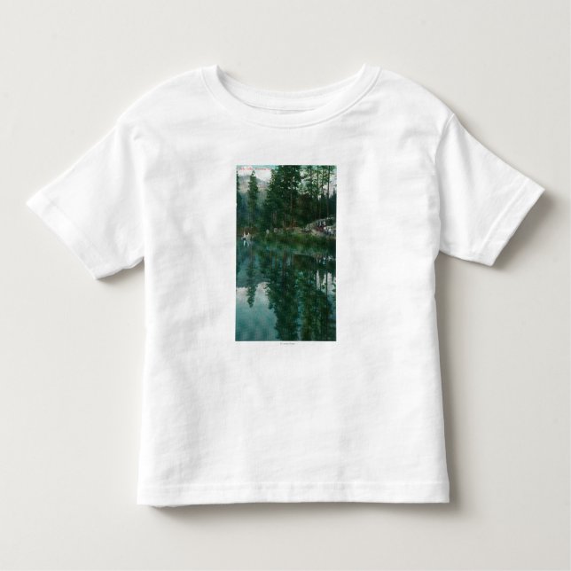 Camiseta Infantil Opinião Stella LakeWawona, CA (Frente)