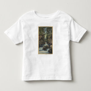 Camiseta Infantil Opinião superior do rio desonesto, Oregon -