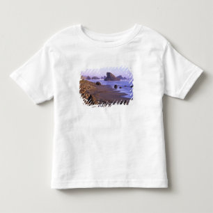 Camiseta Infantil OR, Costa do Oregon, Myers Creek, formações rochos