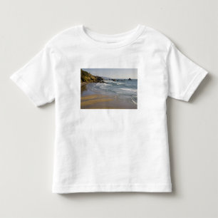 Camiseta Infantil OR, Costa do Oregon, Parque Estadual Ecola, Índio
