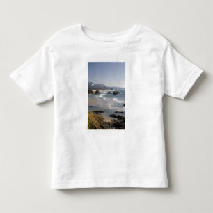 Camiseta Infantil OR, Costa do Oregon, Parque Estadual Ecola, vista