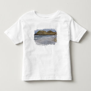 Camiseta Infantil OR, Costa do Oregon, Parque Estadual Seal Rock,