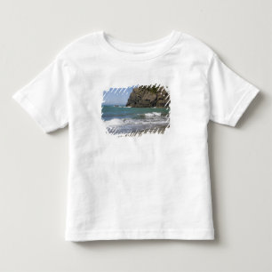 Camiseta Infantil OR, Costa do Oregon, Praia de Whaleshead, Sul