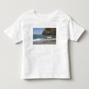 Camiseta Infantil OR, Costa do Oregon, Praia Whaleshead, Sul