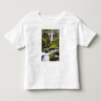 OR, Desfiladeiro do Rio Columbia, Elowah Falls e