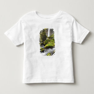 Camiseta Infantil OR, Desfiladeiro do Rio Columbia, Elowah Falls e