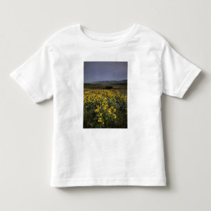 Camiseta Infantil OR, Desfiladeiro do Rio Columbia, Planalto de Rowe