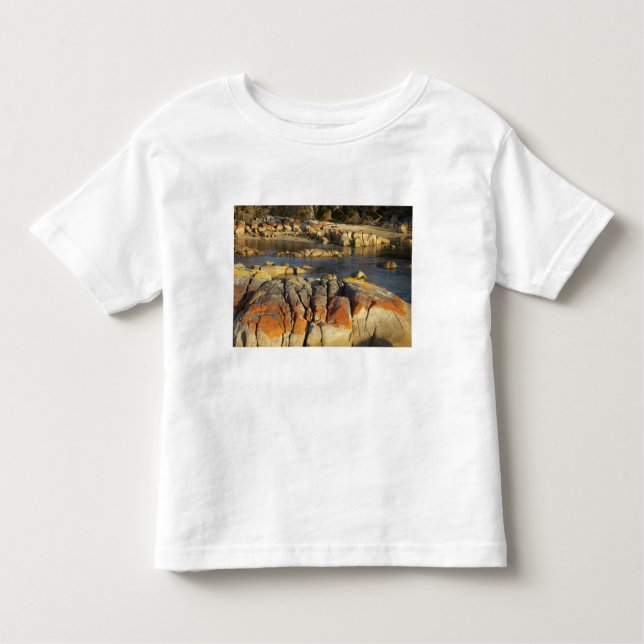 Camiseta Infantil Orange Lichen em Rocks, Binalo Bay, Bay de (Frente)