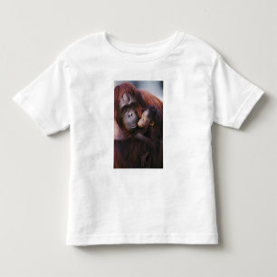 Camiseta Infantil Orangotango de Sumatra fêmea com bebê, Pongo