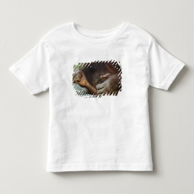 Camiseta Infantil Orangotango de Sumatra, Pongo pygmaeus (Frente)