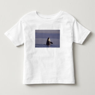 Camiseta Infantil Orca assassina (Orca orcinus) em spyhopping perto