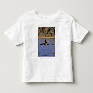 Camiseta Infantil Orca ou baleia assassina.