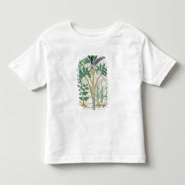 Camiseta Infantil Orquídea (Frente)