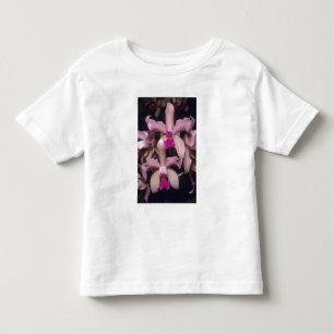 Camiseta Infantil Orquídea, (Cattleya amethystoglossa), Leste