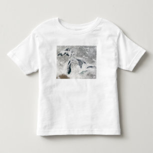 Camiseta Infantil Os grandes lagos 2
