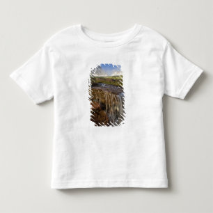 Camiseta Infantil Os Jardins Suspensos em Logan Pass no Glaciar