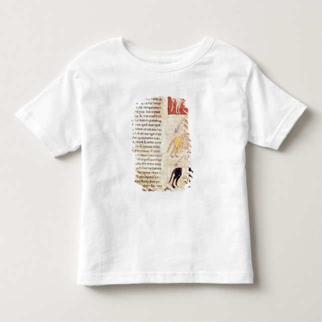 Camiseta Infantil Os quatro cavaleiro do apocalipse (Frente)