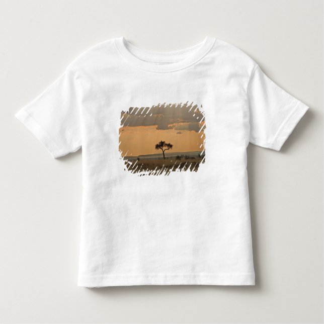 Camiseta Infantil Os raios de sol que passam pela tarde (Frente)