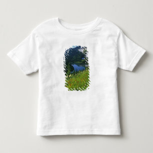 Camiseta Infantil Os Wildflower alpinos na bacia de Jewel, na