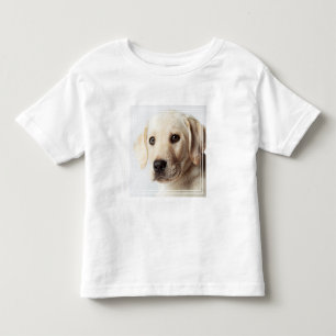 Camiseta Infantil Ouro Labrador Puppy
