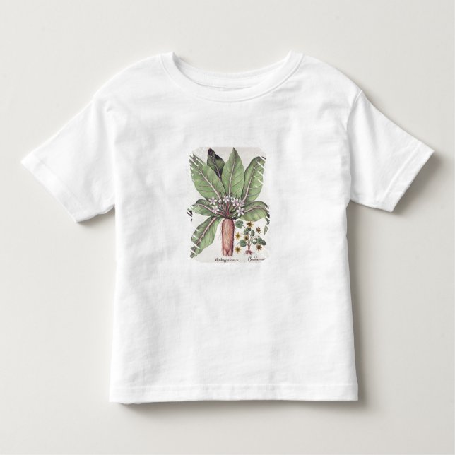 Camiseta Infantil Outono Mandrake, do "Hortus Eystettensis" perto (Frente)
