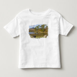 Camiseta Infantil ovelhas Herdwick em Friars Crag, Derwentwater, 2