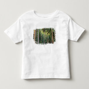 Camiseta Infantil Pacífico Sul, Polinésia Francesa, Bora Bora.