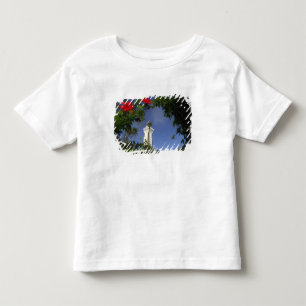 Camiseta Infantil Pacífico Sul, Polinésia Francesa, Taiti. Hibisco 3